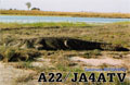 A22/JA4ATV (A2 - Botswana)