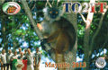 TO2TT (FH - Mayotte Island)