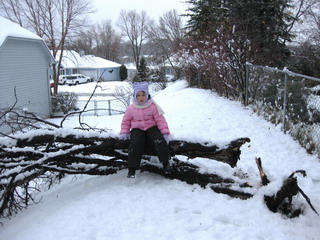 The broken tree :: The snow storm