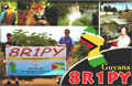 8R1PY (8R - Guyana)